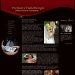 Premiere Video Design